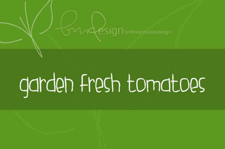 Garden Fresh Tomatoes Font Graphic